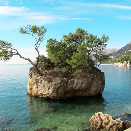 Silvia-2 By Interhome Lägenhet Makarska